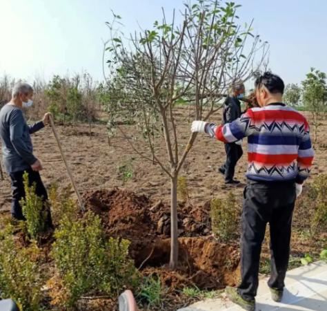 源汇区问十乡：疫情防控不放松 植树绿化不误时