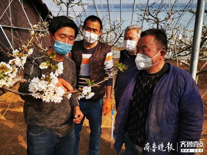 宁阳鹤山镇：疫情防控不松劲，绿化造林不停拍