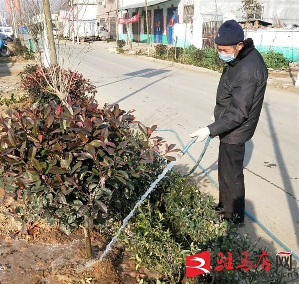 西平县盆尧镇：干群新春植树忙 防疫“绿化”两不误