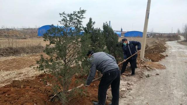 磁县：战疫不忘忙绿化，矢志造林13.5万亩