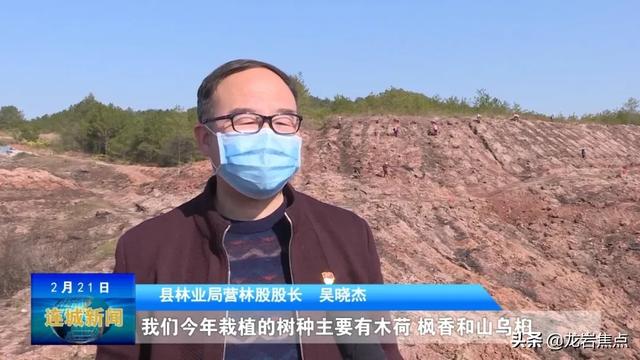 「众志成城 抗击疫情」冠豸山下植树忙 防疫绿化双促进