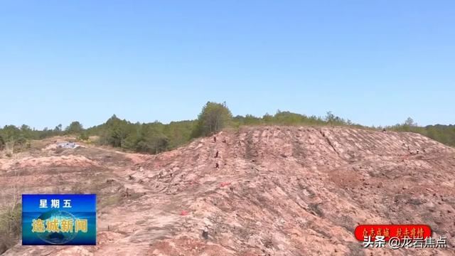 「众志成城 抗击疫情」冠豸山下植树忙 防疫绿化双促进