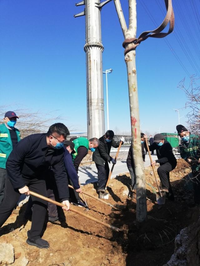 驻马店：市园林绿化中心兴业大道绿化项目复工开工