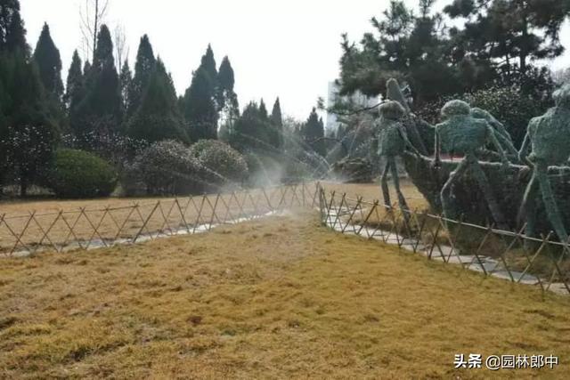 二十四节气——雨水，在园林绿化管理上意味着什么？