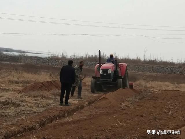 战胜疫情作风硬 国土绿化谋在前——常村镇春季绿化工作扎实有序推进