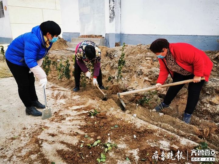 宁阳鹤山镇：疫情防控不松劲，绿化造林不停拍