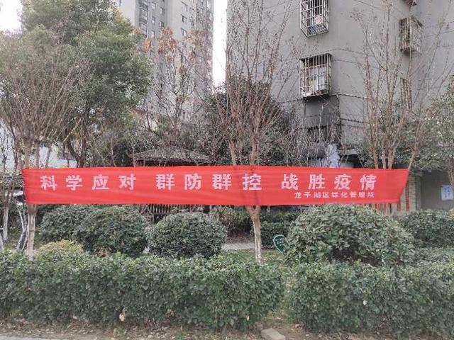 蚌埠龙子湖区绿化园林人四项举措抗疫情