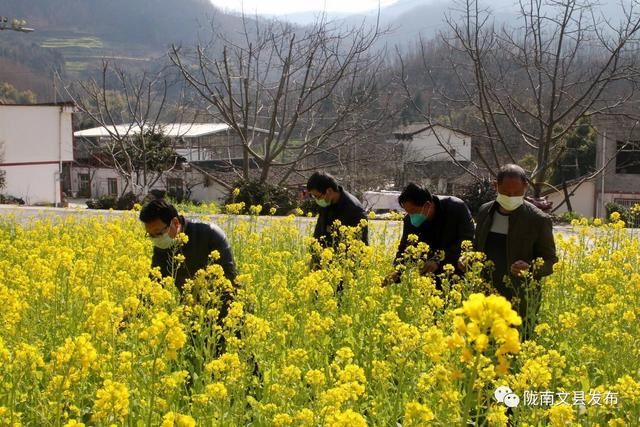 文县：加强田间管护指导 依托科技助农增收
