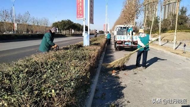 精细养护，推动城区园林绿化面貌再美化