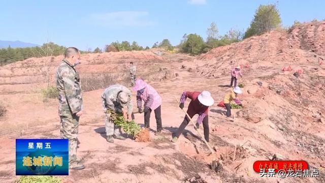 「众志成城 抗击疫情」冠豸山下植树忙 防疫绿化双促进