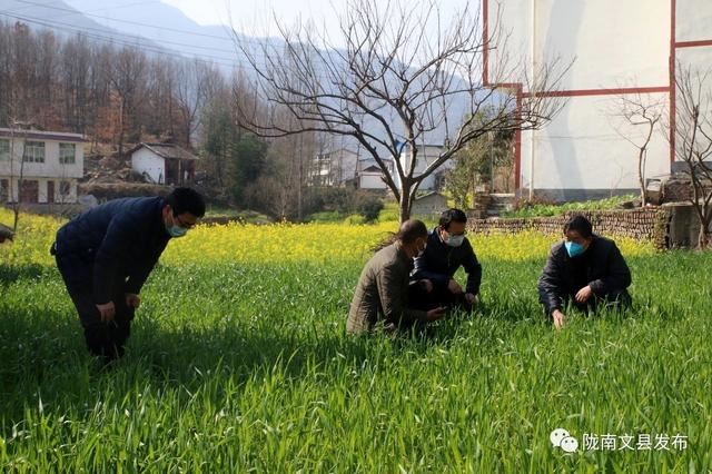 文县：加强田间管护指导 依托科技助农增收