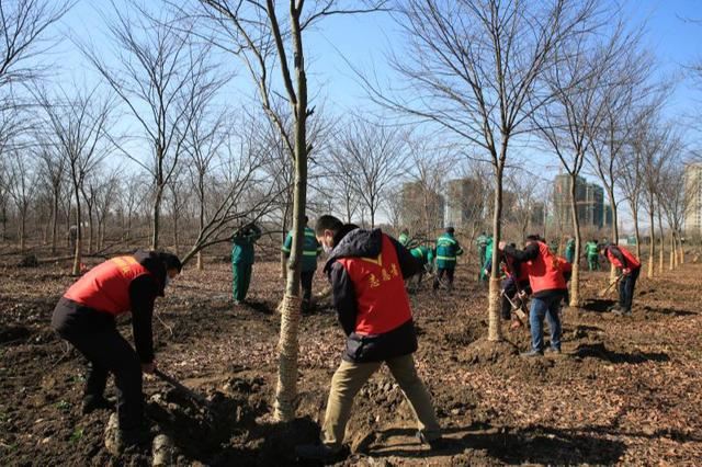 泗洪：防疫、春季绿化两手硬
