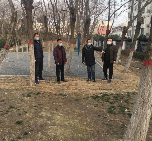 抢抓时机 提标增彩----漯河市园林绿化养护中心全力以赴推进春季绿化养护工作