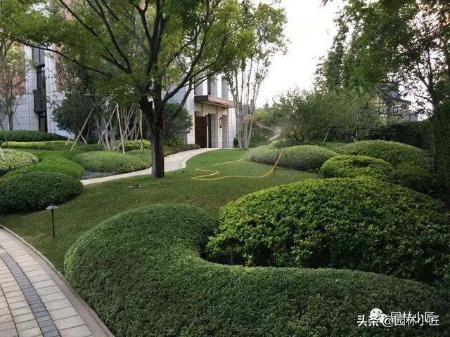 园林中整形修剪的基本技术