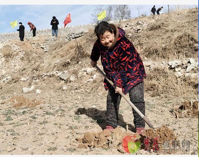 磁县：战“疫”不忘忙绿化 北贾璧乡迎旅发植树忙