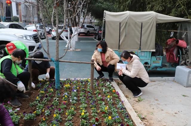 抢抓时机 提标增彩----漯河市园林绿化养护中心全力以赴推进春季绿化养护工作