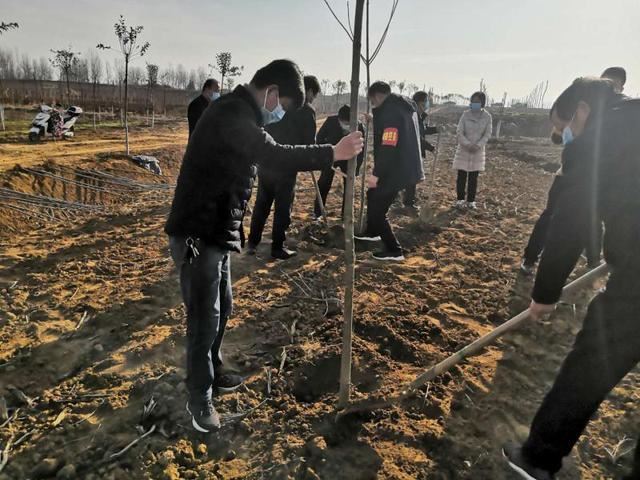 桐柏：防疫绿化两手抓