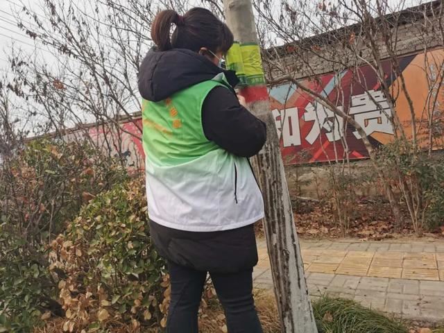 抢抓时机 提标增彩----漯河市园林绿化养护中心全力以赴推进春季绿化养护工作