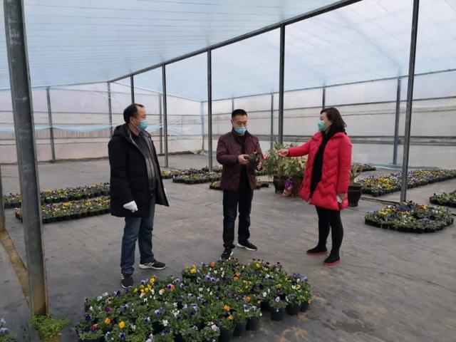抢抓时机 提标增彩----漯河市园林绿化养护中心全力以赴推进春季绿化养护工作