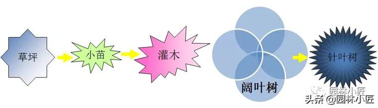 春季日常养护要领 | 灌水