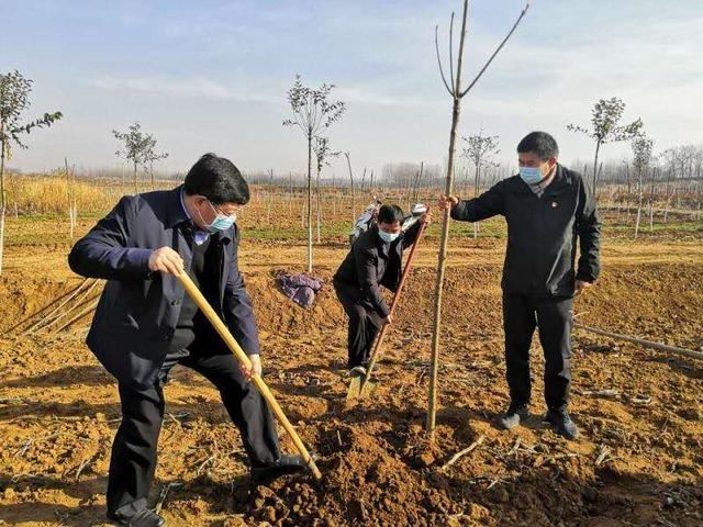 桐柏：防疫绿化两手抓