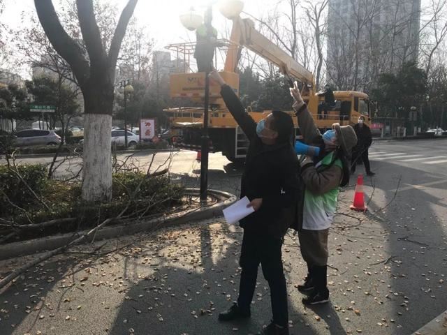 抢抓时机 提标增彩----漯河市园林绿化养护中心全力以赴推进春季绿化养护工作