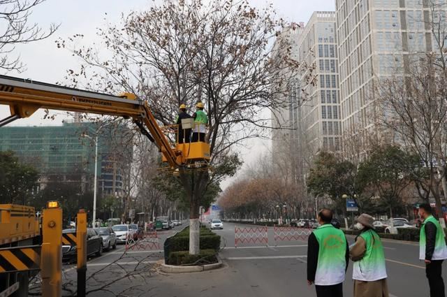 抢抓时机 提标增彩----漯河市园林绿化养护中心全力以赴推进春季绿化养护工作