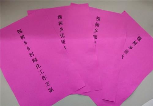 孟州市槐树乡：“战疫”不忘忙绿化