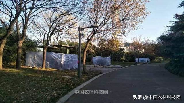 干货来啦！春季园林绿化养护要点（建议收藏）