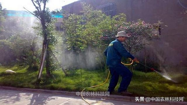 干货来啦！春季园林绿化养护要点（建议收藏）