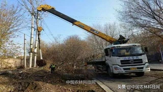 干货来啦！春季园林绿化养护要点（建议收藏）