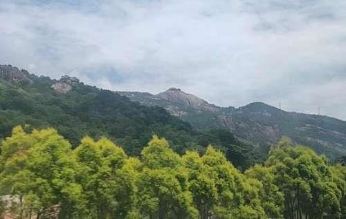 河南全省80%廊道实现绿化！河南林业交出生态答卷