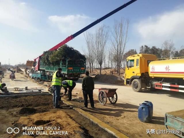 鄄城县农村公路春季绿化工作全面启动