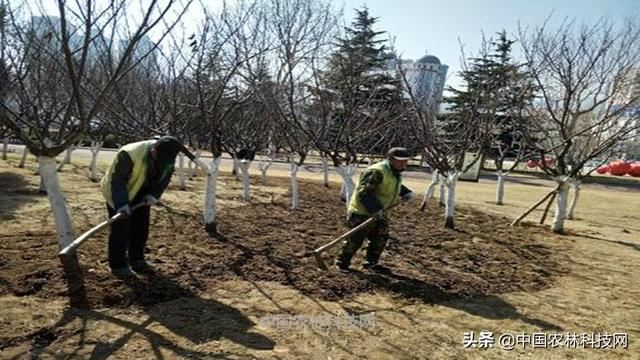 干货来啦！春季园林绿化养护要点（建议收藏）