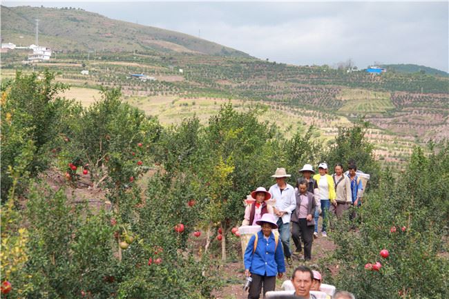 云南省林草局向贫困堡垒发起最后总攻