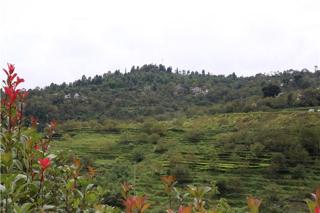 云南省林草局向贫困堡垒发起最后总攻