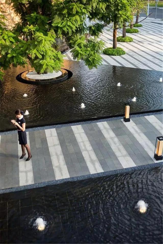 种树还能玩出这么多花样 种树还能玩出这么多花样