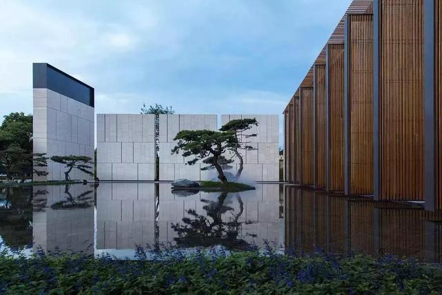 庭院因一棵松而美