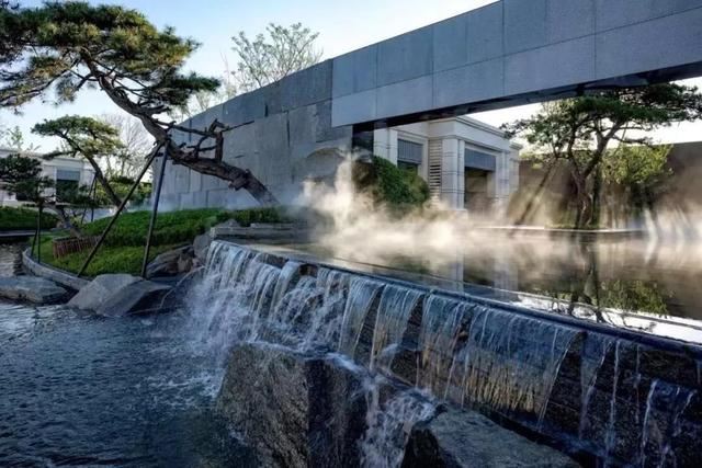 庭院因一棵松而美