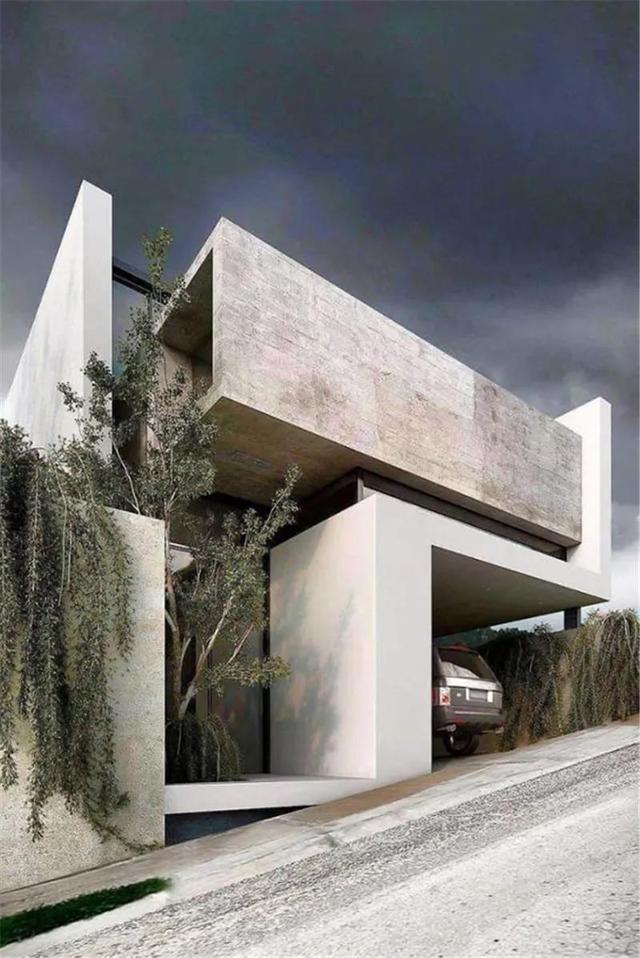 种树还能玩出这么多花样 种树还能玩出这么多花样