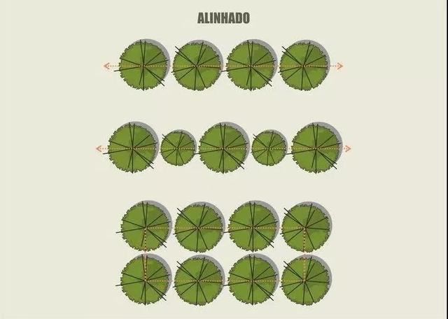 空间规划跟树木布局