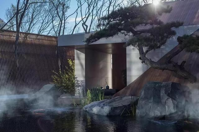 庭院因一棵松而美