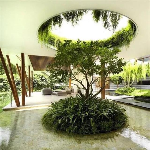 种树还能玩出这么多花样 种树还能玩出这么多花样