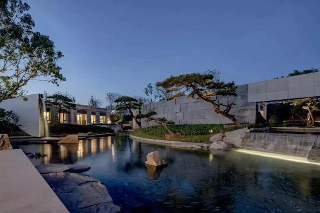 庭院因一棵松而美