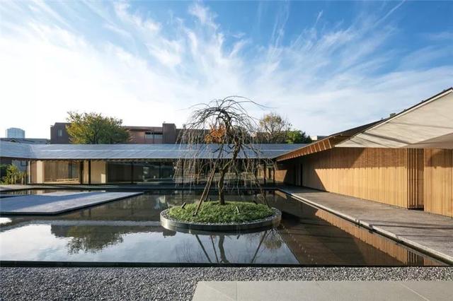 种树还能玩出这么多花样 种树还能玩出这么多花样