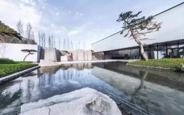 庭院因一棵松而美