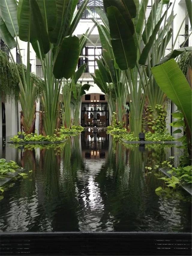 种树还能玩出这么多花样 种树还能玩出这么多花样