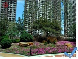 园林景观中,叠山置石——景石摆放案例分析 园林景观中,叠山置石——景石摆放案例分析