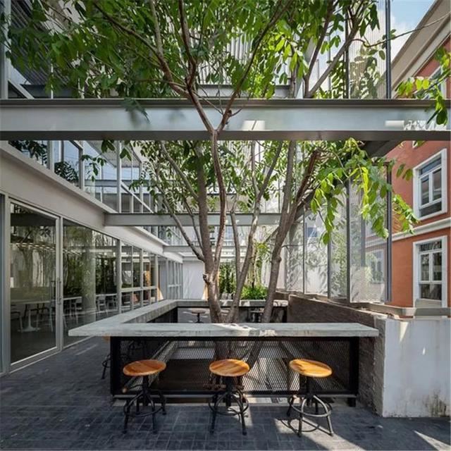 种树还能玩出这么多花样 种树还能玩出这么多花样