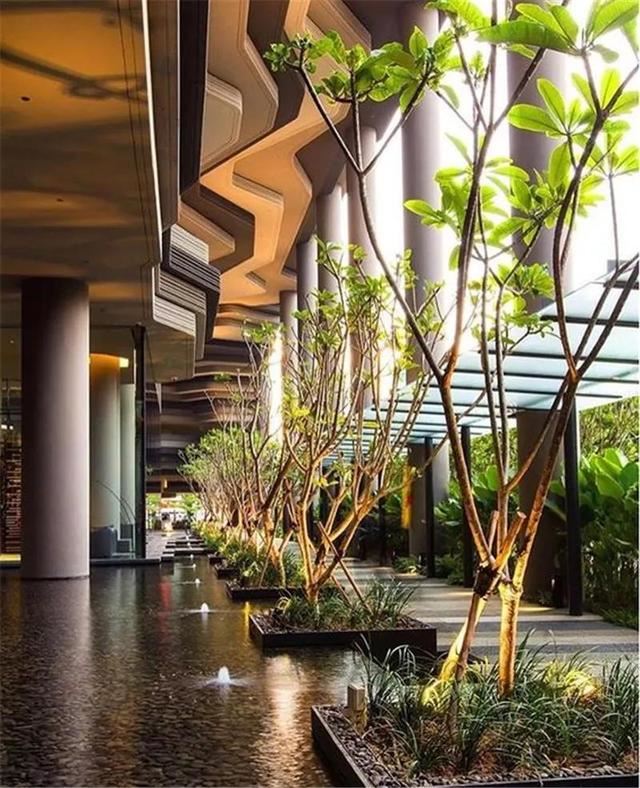 种树还能玩出这么多花样 种树还能玩出这么多花样